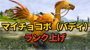 FF14 マイチョコボ（バディ）のランク上げ　【愛そうチョコボ】