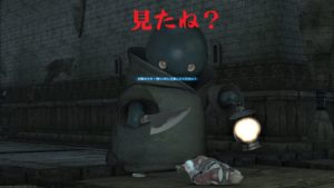 FF14  「ウラエウスの粗皮」の入手場所　お洒落装備の素材