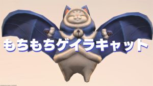FF14 ミニオン もちもちゲイラキャット