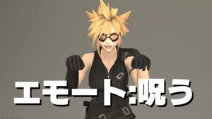 FF14 エモート 呪う