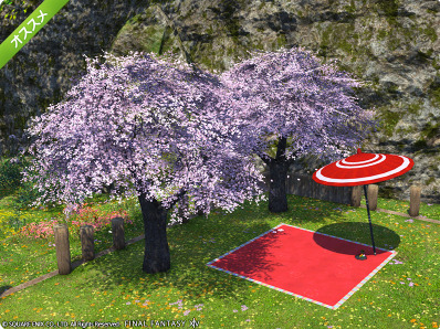 Ff14 Twitterでお花見スクリーンショットをシェア うさねこ散歩