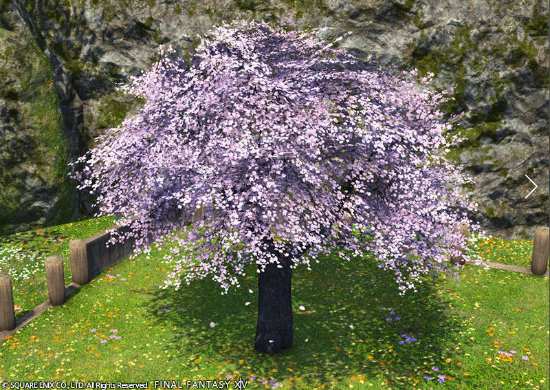Ff14 オンラインストア購入 イースタン チェリーツリーex 桜 ハウジング 庭具 うさねこ散歩