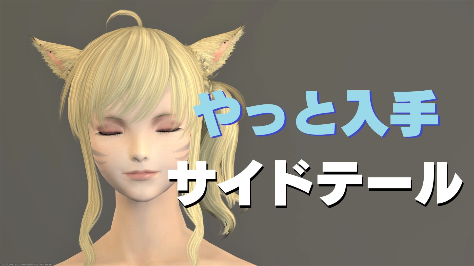 Ff14 ヘアカタログ サイドテール うさねこ散歩