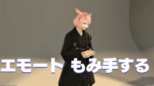FF14 エモート もみ手をする