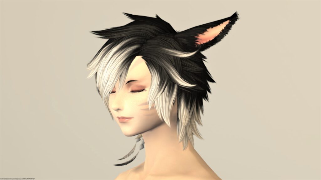 Ff14 ヘアカタログ マーセナリー取得 うさねこ散歩