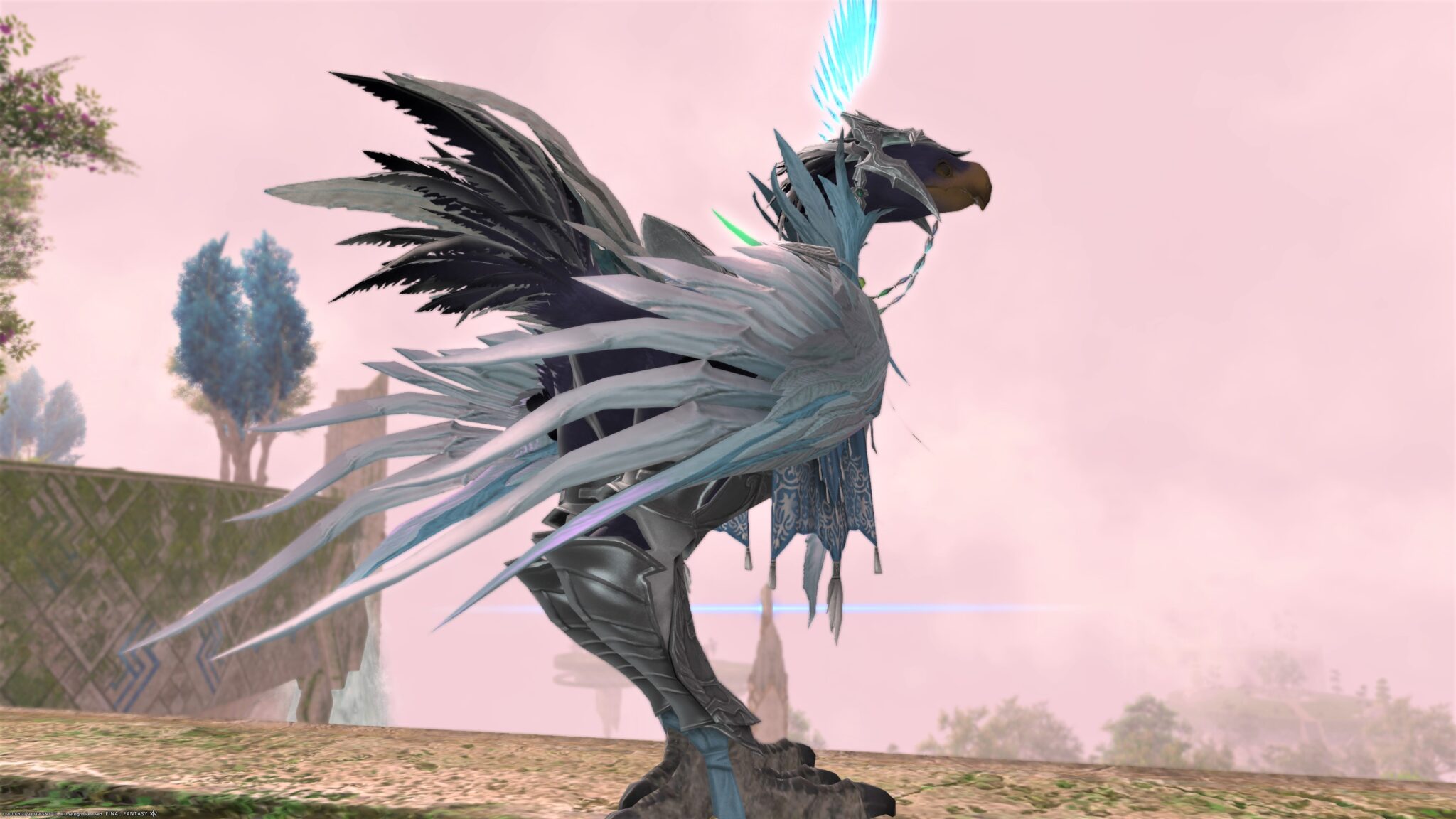 FF14 ディヴァインライト・バード【チョコボ装甲】 うさねこ散歩