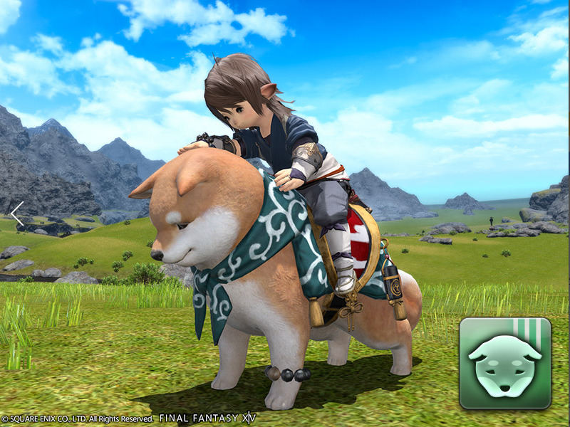 Ff14 マウント大柴犬 ヒップストリート コスチュームセット オプションアイテム追加 うさねこ散歩