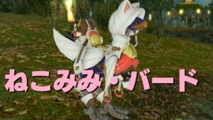 FF14 ねこみみ・バード【チョコボ装甲】無人島開拓