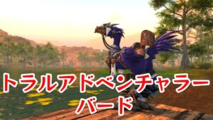 FF14 トラルアドベンチャラー・バード【チョコボ装甲】