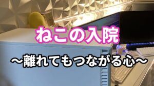 ４、ねこの入院 ～離れてもつながる心～