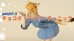 FF14 チョコボ・デイリーチュニック「胴装備」 黄金7.3ゴールドソーサーMGP交換品
