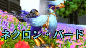 FF14 ネクロン・バード【チョコボ装甲】
