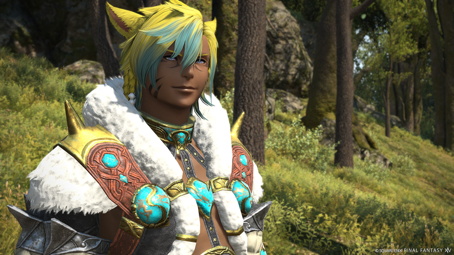 FF14 魔獣図鑑 魔獣使い 全50種の捕獲場所・座標チェックリスト